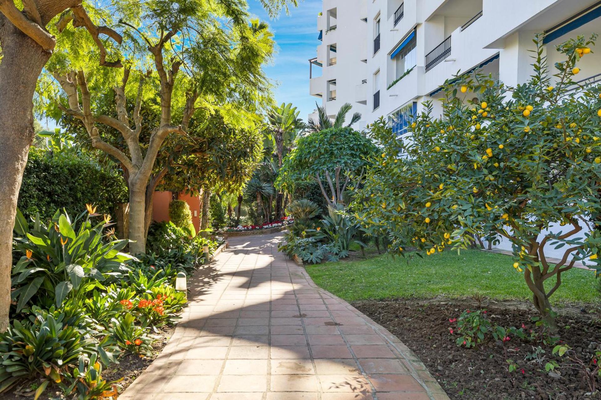 Charming And Spacious Apartment In Medina Garden - Puerto Banus Marbella Kültér fotó